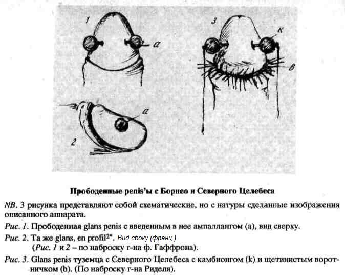 13.png (617856 Byte)