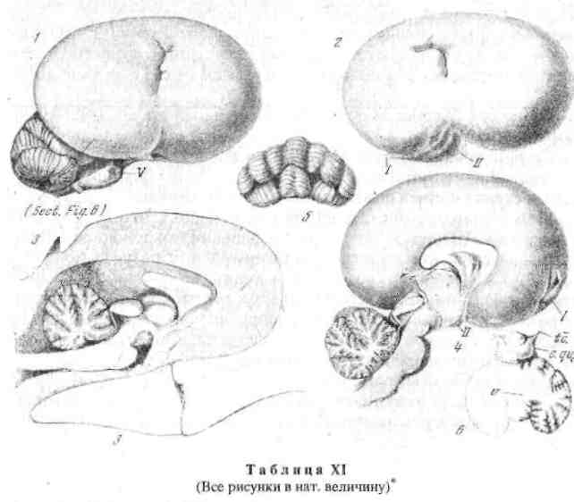 29.png (617856 Byte)