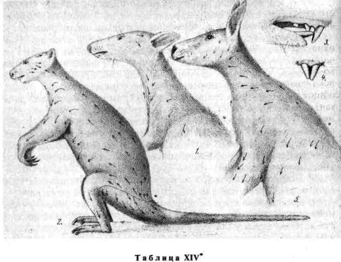 32.png (617856 Byte)