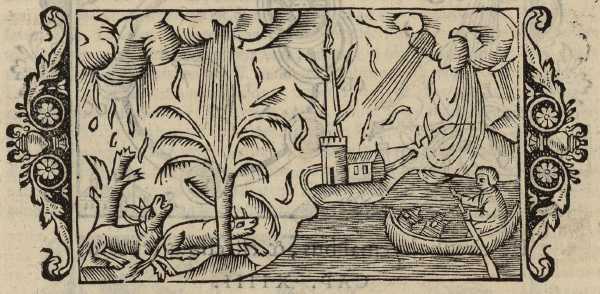 01_13.jpg (41469 Byte)