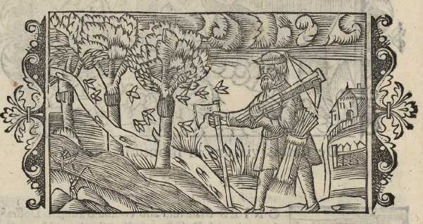 02_16.jpg (43560 Byte)