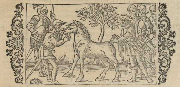 17_08.jpg (35437 Byte)