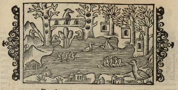 19_08.jpg (38681 Byte)