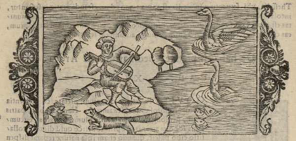 19_15.jpg (34979 Byte)