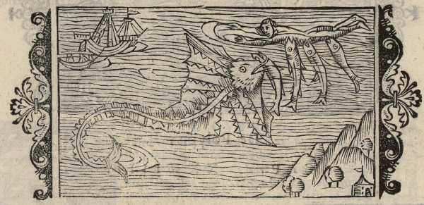 21_35.jpg (38814 Byte)