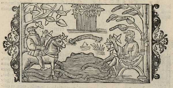 22_07.jpg (39042 Byte)