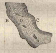 2-157.JPG (6212 Byte)