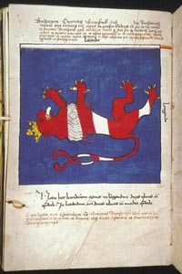 49_klein.JPG (20000 Byte)