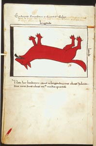 6_klein.JPG (16308 Byte)