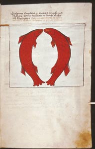 7_klein.JPG (14845 Byte)