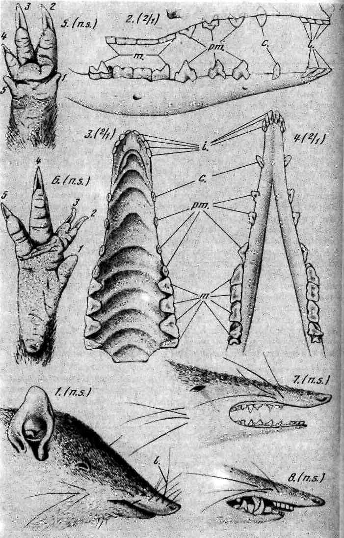 34.png (617856 Byte)