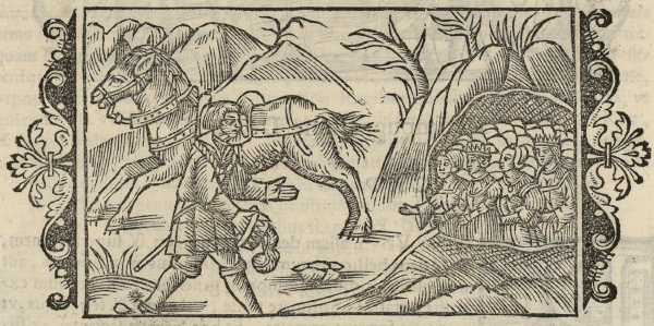 03_10.jpg (41931 Byte)