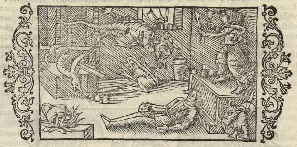 03_17.jpg (44976 Byte)