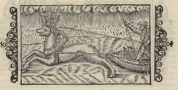 11_37.jpg (38892 Byte)