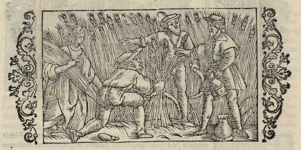 13_08.jpg (42217 Byte)