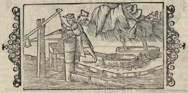 13_43.jpg (35969 Byte)