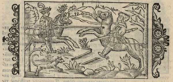 15_08.jpg (37897 Byte)