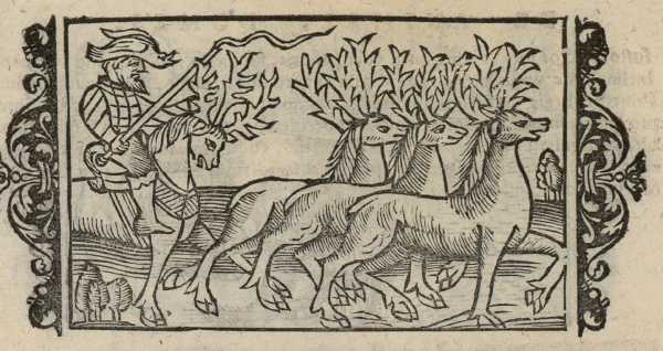 17_26.jpg (37591 Byte)