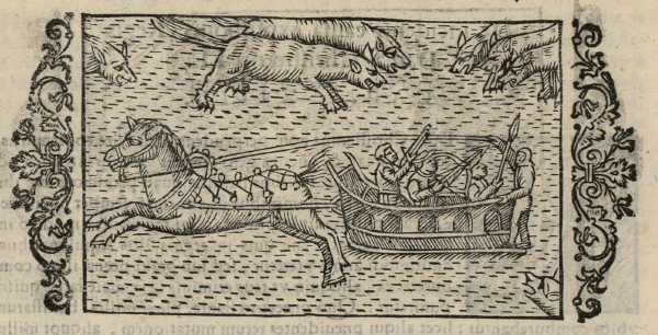 18_13.jpg (41080 Byte)