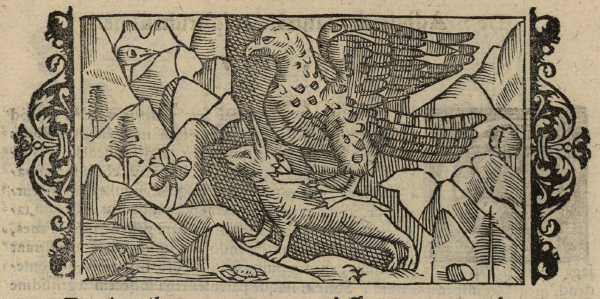 19_06.jpg (38320 Byte)