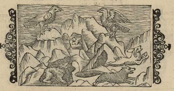 19_19.jpg (37139 Byte)